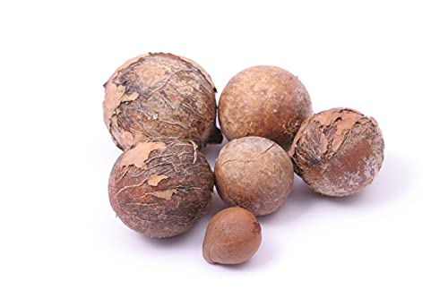 Tamanu Oil 16 oz - Cold-Pressed Pure Calophyllum Inophyllum Nutrient for Skin Hair Nails