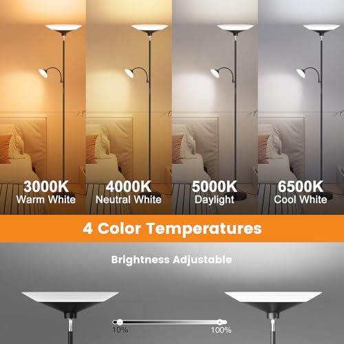 SIBRILLE Black 2-in-1 Dimmable Floor Lamp with Remote & Touch Control