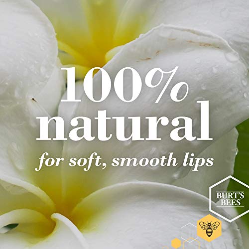 Vaseline Lip Therapy Variety 4-Pack ? Rosy Lips + Cocoa Butter Moisturizing Lip Balm with Vitamin E, 0.16 Oz Ea