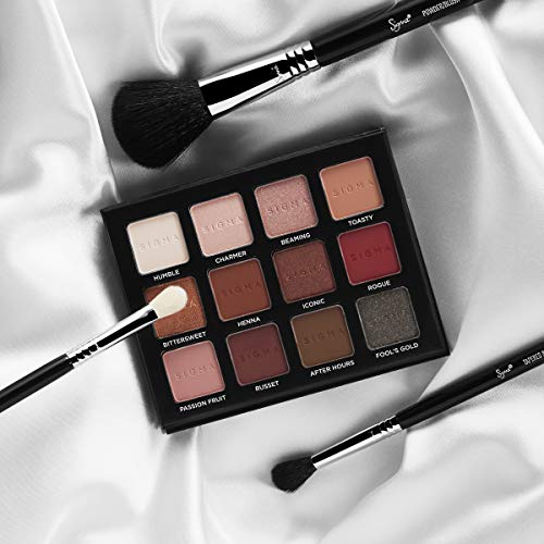 Sigma Beauty Professional E40 Tapered Blending Eye Makeup Brush with SigmaTech fibers Blending eyeshadow Brush
