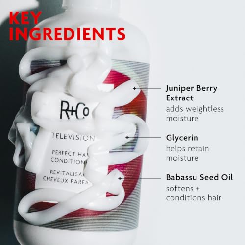 R+Co Television Perfect Hair Conditioner 8.5 oz