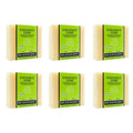 Plantlife Coconut Lime Natural Bar Soap 6-Pack - Handcrafted Vegan 4 oz Variation of Coconut Lime / 4 Ounce (Pack of 6)