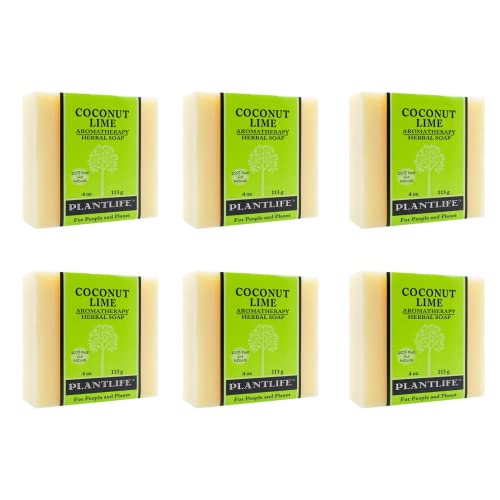 Plantlife Coconut Lime Natural Bar Soap 6-Pack - Handcrafted Vegan 4 oz Variation of Coconut Lime / 4 Ounce (Pack of 6)
