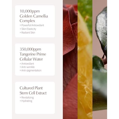 LBB All Day Care In Lotion - Vegan Antioxidnat Face Lotion - 100h Lasting Moisturizing, Radiant and Elastic Skin - Tangerine Cellular Water, Golden Camellia, Peptides, 1.69 oz.