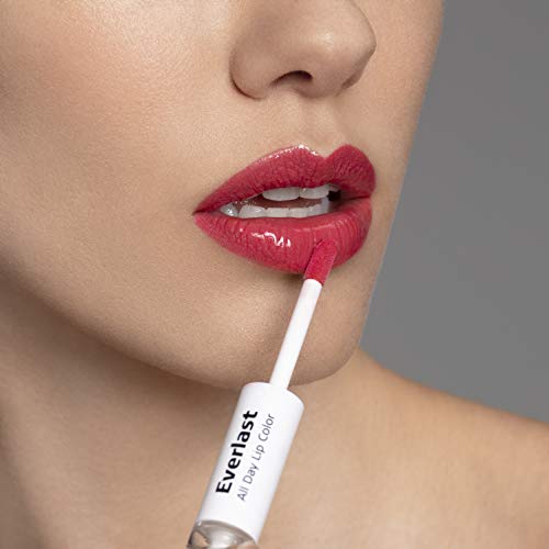 Lip Color Everlast #719 Light Berry - 1 Count, Long-Wear Lipstick & Gloss Set