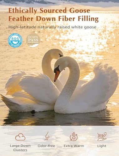 Queen Size Organic Goose Feather Down Comforter - White, Hypoallergenic