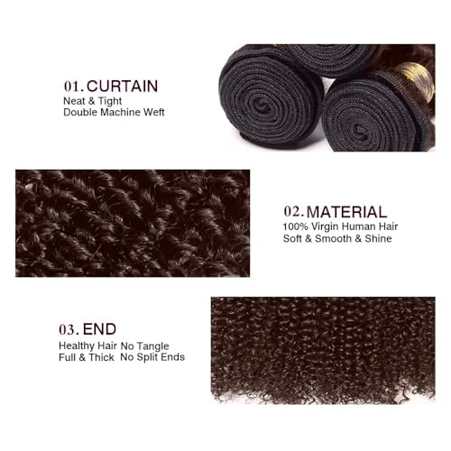 Chocolate Brown Kinky Curly Human Hair Bundles - 16, 18, 20 Inch Variation #4