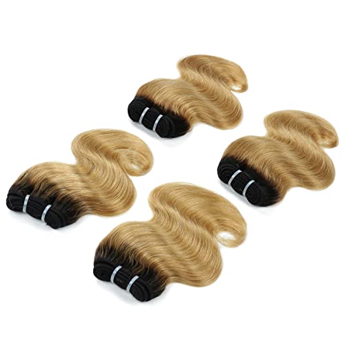 8-Inch Human Hair Extensions Ombre Two-Tone Brazilian Virgin Body Wave 50g Pack of 4 - 1B/27