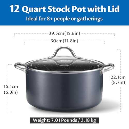 BEZIA 12 Quart Nonstick Stock Pot with Lid - Large Induction Cooking Pot