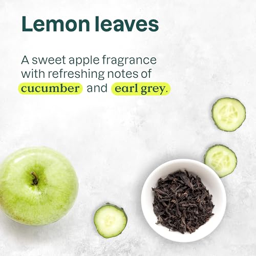 Clarifying Shampoo for Oily Hair - EWG Verified, Natural Ingredients, Pack of 2 - Lemon & White Tea