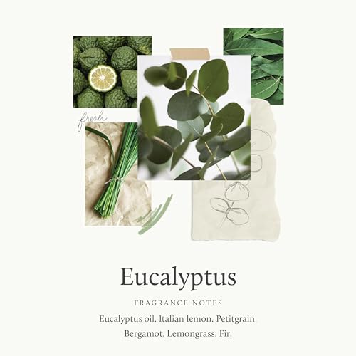 Eucalyptus Shower Spray for Spa-Like Experience - 3.4 fl oz - Thymes