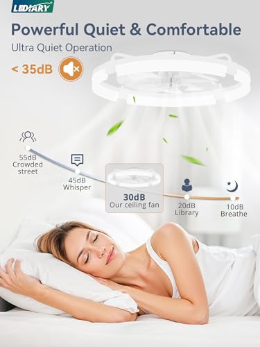 24-Inch Ceiling Fan with Lights - Low Profile Flush Mount with Remote & App Control - White, Variation of THIS listing