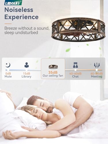 20-Inch Black Gold Caged Farmhouse Ceiling Fan with Light - Flush Mount