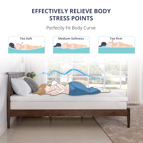 EGOHOME 3 Inch Queen Memory Foam Mattress Topper with Removable Cover - Cooling & Support