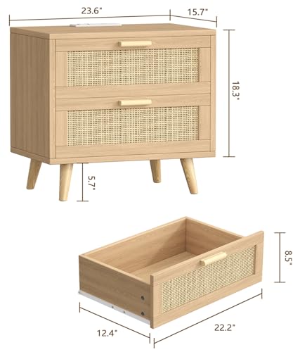 Keehusux 23.6-Inch Rattan Nightstand with Charging Station & Two Drawers