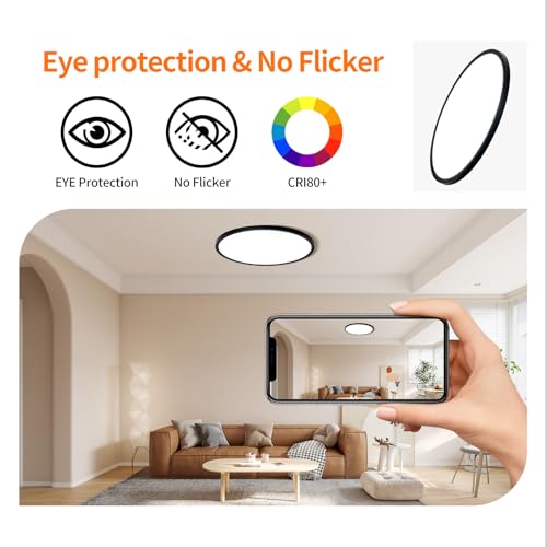 Black 12-Inch LED Flush Mount Ceiling Light - 24W Dimmable, 5 CCT Options, Slim Profile for Bedroom Kitchen Hallway