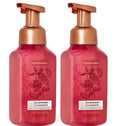 Gentle Foaming Hand Soap Set - Raspberry Tangerine Scent, 8.75 oz 2-Pack