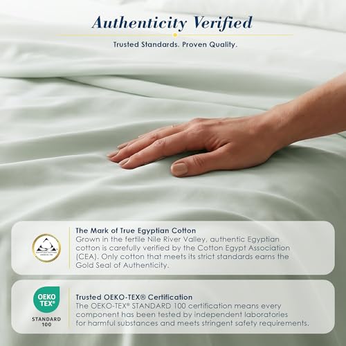 Egyptian Cotton Queen Sheets Set - Sage, 6-Piece Luxury Bedding