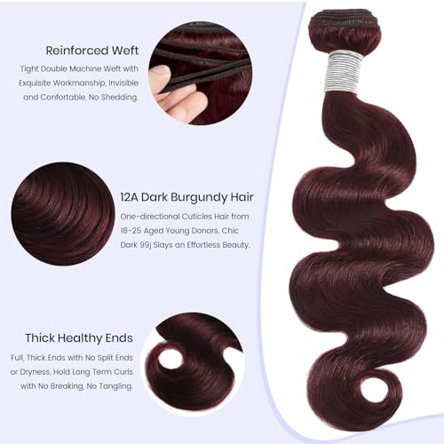 #99j Dark Burgundy Body Wave Hair Bundles - 10 Inch, 12A Virgin Brazilian Remy, Double Weft, Red Wine Color, MOMOSHERO