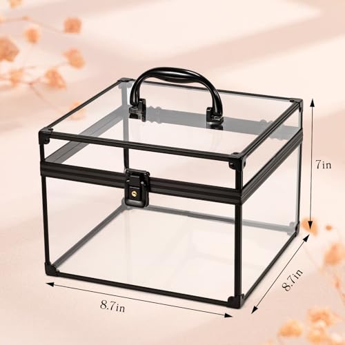 Costravio Makeup Display Clear Clear Makeup Case Portable Transparent Artists Train Case Crown Box Large Capacity Toiletry Organizer Box Travel Makeup Storage for Vanity Bathroom Craft Toys Case