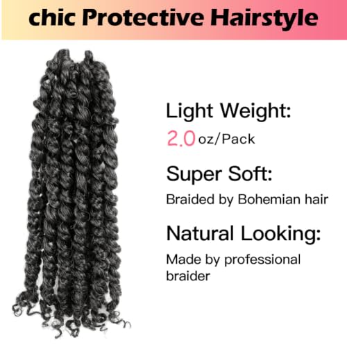 10 Inch Passion Twist Crochet Hair - Pre-twisted Salt and Pepper Set, 8 Packs, Short Braid Style with Variation of THIS listing