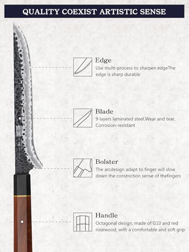 HOSHANHO 7-Inch Fillet Knife Razor Sharp Hand Forged Boning Knife