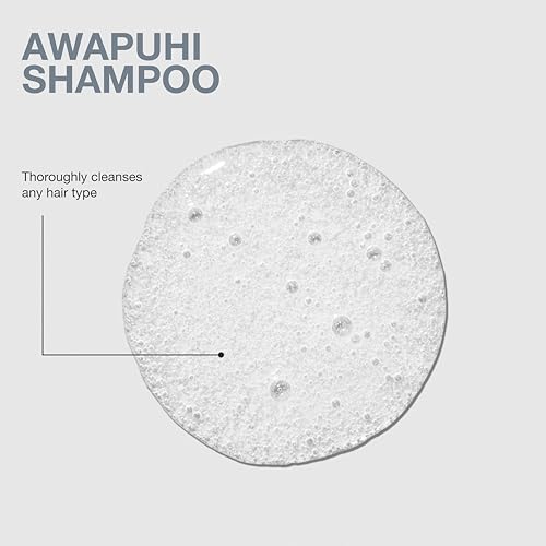 Paul Mitchell Awapuhi Moisturizing Shampoo 33.8 Fl Oz Pouch - All Hair Types