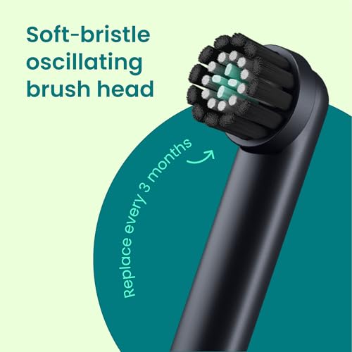 Quip Rev Oscillating Electric Toothbrush with Mirror Mount - Blue Stone
