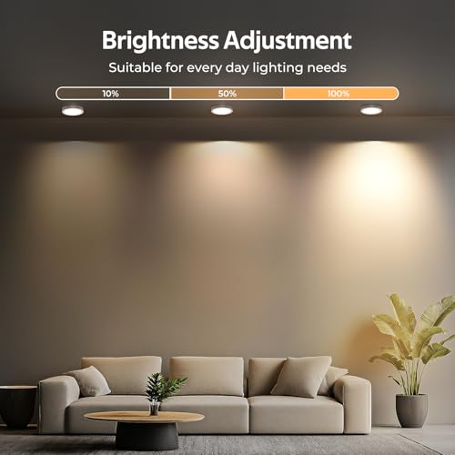 RGBWW Under Cabinet Puck Lights 12 Pack Dimmable Kitchen & Closet Lighting Kit