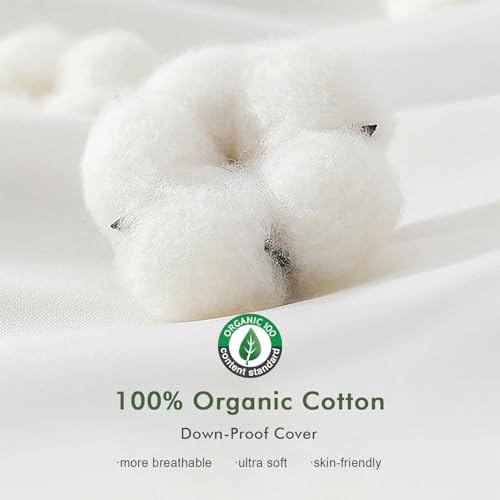Euro Pillow Inserts 28x28 Inches Pack of 2 - White Down & Feather Fill
