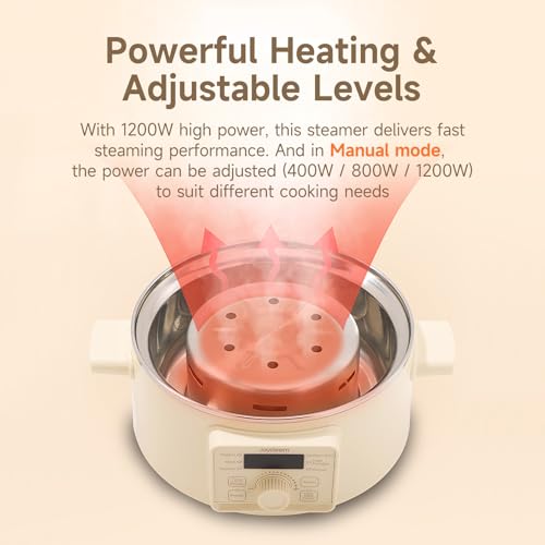 Electric Food Steamer with 2 Tiers, 13.7 Qt Large Capacity, Multi-Functional Kitchen Appliance