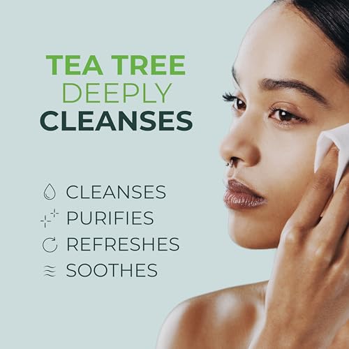 NOVEHA 60 Pack Tea Tree Oil Eyelid & Lash Wipes with Hyaluronic Acid, Green Tea & Chamomile
