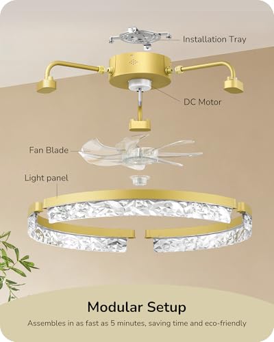 EDISHINE Gold 20'' Low Profile Ceiling Fan with Lights, Remote & App Control