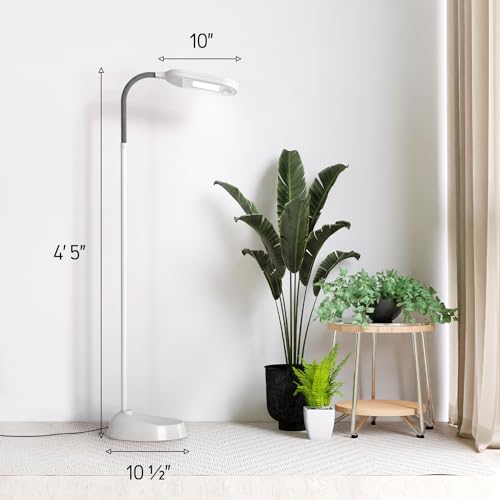 Gray Kenley Natural Daylight Floor Lamp with Adjustable Gooseneck