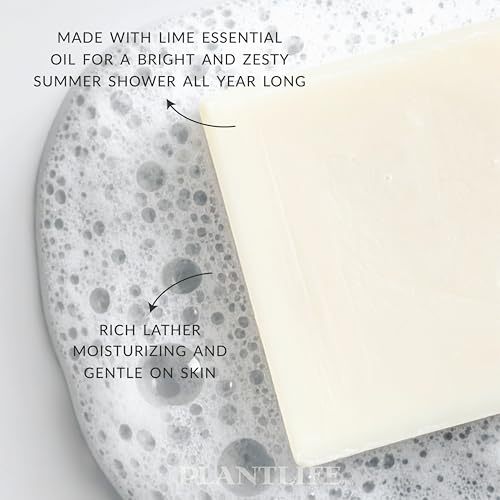 Plantlife Coconut Lime Natural Bar Soap 6-Pack - Handcrafted Vegan 4 oz Variation of Coconut Lime / 4 Ounce (Pack of 6)