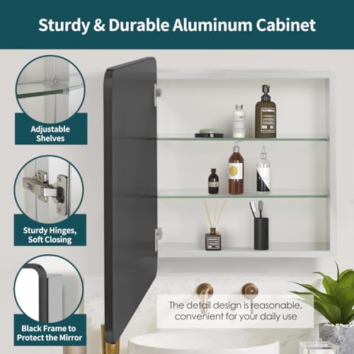 Black 24x22 Inch Bathroom Medicine Cabinet with Mirror & Adjustable Shelves