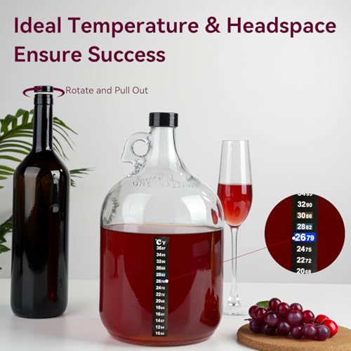 Home Brewing Wine Making Kit - Complete Grape Juice Fermentation Set for Beginners, 1-Gallon Jar & Bottles