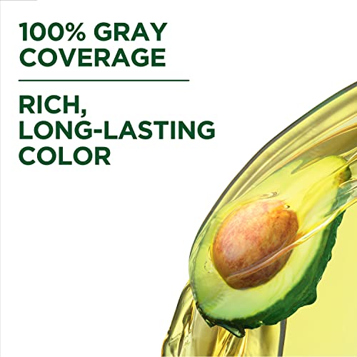 Garnier Nutrisse Nourishing Hair Color Creme 2 Pack - 72 Dark Beige Blonde (Sweet Latte) Permanent Dye