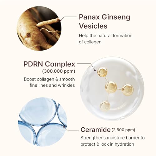 Centellian 24 PDRN Firming Ampoule Serum – 300,000 ppm, Hydrolyzed Collagen