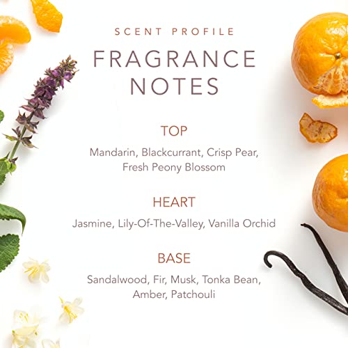 Scent from Above Perfume for Women - Floral Fruity Eau de Toilette - 3.4 Fl Oz - Variation of Scent From Above / 3.4 Fl Oz (Pack of 1)