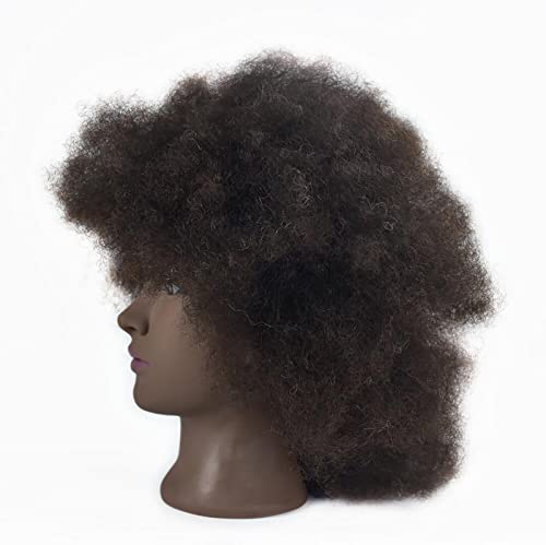 Mannequin Head African with 100% Human Hair Afro Styling Practice Head - Variation BZT