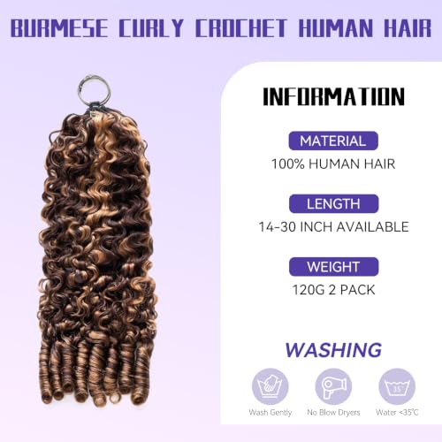 Highlight Feather Crochet Hair 14 Inch - Honey Brown Ombré Spiral Curl, Invisible Knots, Pre-separated Human Hair Extension - Variation of THIS listing