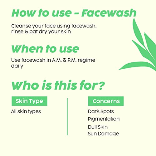 Pineapple Face Wash & Serum for Dark Spots Brightening - All Skin Types