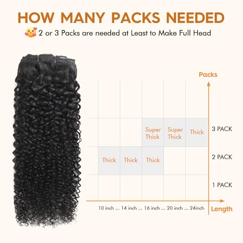 Kinky Curly Clip in Hair Extensions Human 120g with 20 Clips 18 Inch
