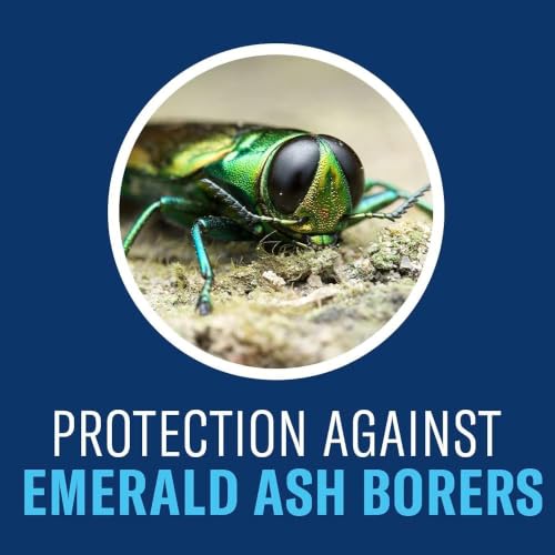 BioAdvanced 12 Month Tree & Shrub Protect & Feed Granules 10 lb - Insect Killer & Fertilizer