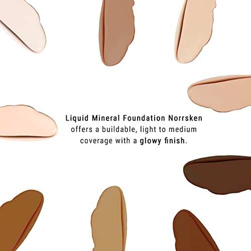 IDUN Minerals Liquid Norrsken Foundation - Silky Smooth Coverage - Luminous, Dewy Finish for Dry and Dull Skin - Water Resistant and Vegan Makeup - 206 Freja - Warm Light - 1.01 oz (Pack of 2)