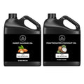 Naturevibe Botanicals Sweet Almond Oil 32oz and Fractionated Coconut Oil 32oz |Oil Combo