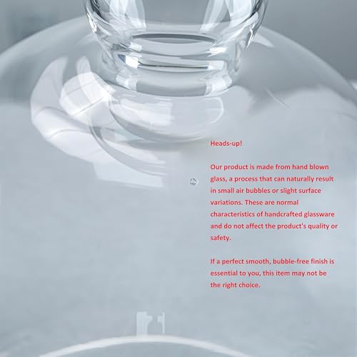 Glass Bell Dome Cloche - Hand-Blown Crystal Cover for Display & Decor - H16 W12 Variation