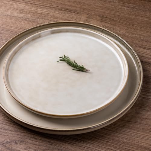 GBHOME Ceramic Dinnerware Set for 4 - Cappuccino, 12 Pieces Includes Plates & Bowls
