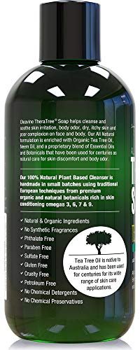 Oleavine TheraTree Tea Tree Oil Body & Foot Wash 12oz Pack of 2 - Refreshing Mint Formula